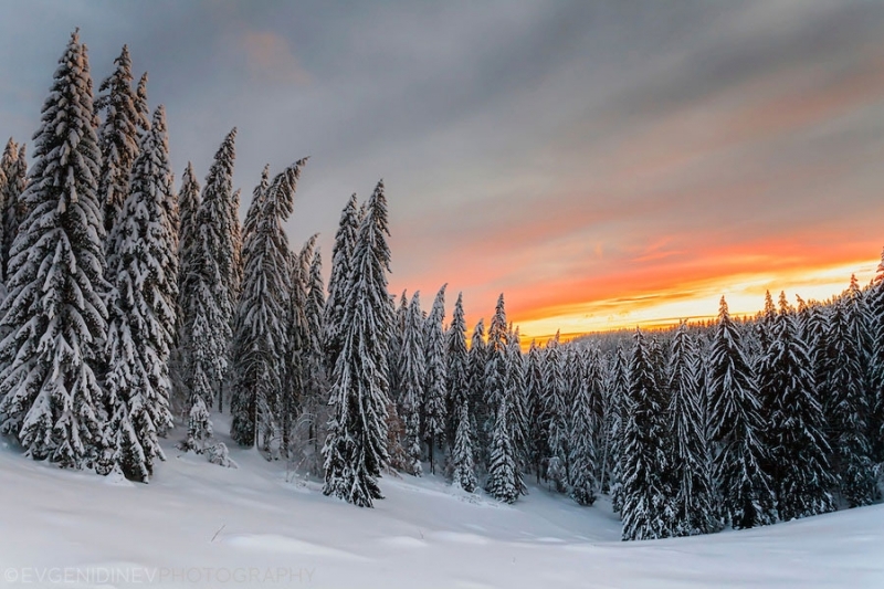 26 годишен изгубен в снега около НАО Рожен бе открит жив