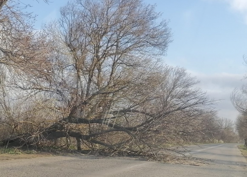 Силният вятър, който духа през последните часове във Врачанско, вече