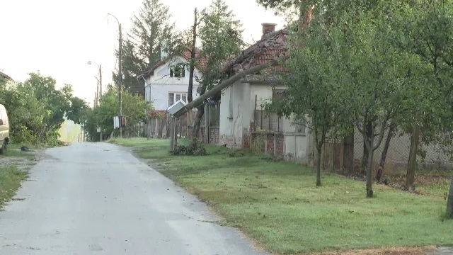 Остава частичното бедствено положение в Белослатинско Там бурята изтръгна дървета