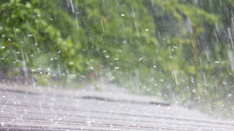 Правителството одобри допълнителни разходи в размер на 6 млн лв