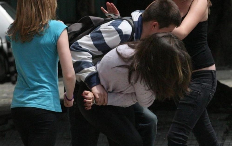 Страшна тенденция вилнее в община Враца в последните две години