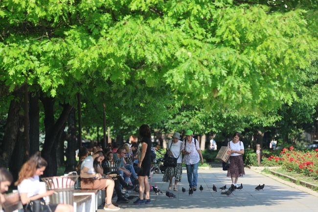 Днес отново ще бъде предимно слънчево След обяд над планините