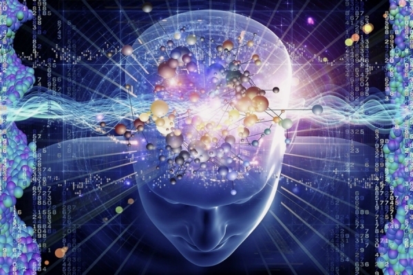 Гладуването може да изостри мисълта защото невроните получават повече енергия