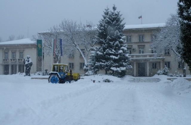 В разгара на лятото община Враца обяви обществена поръчка за