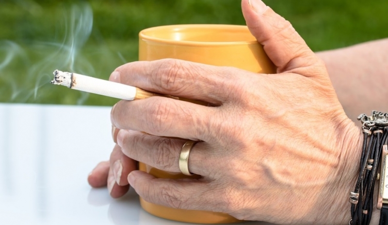 При пушачите белите дробове са органът който страда най много Дори