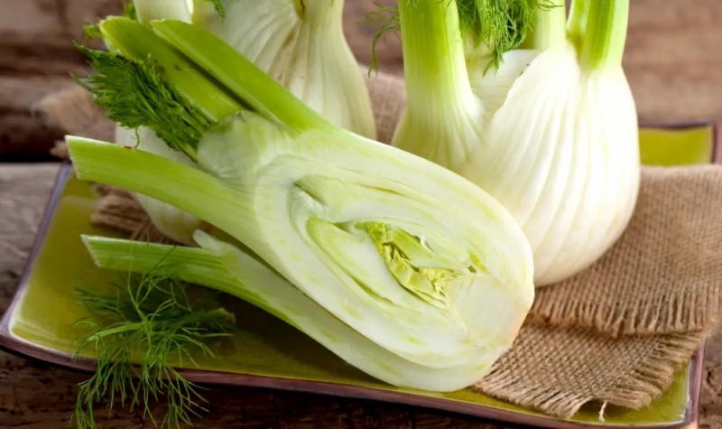 Ракът е едно от най опасните и коварни заболявания Развитието на