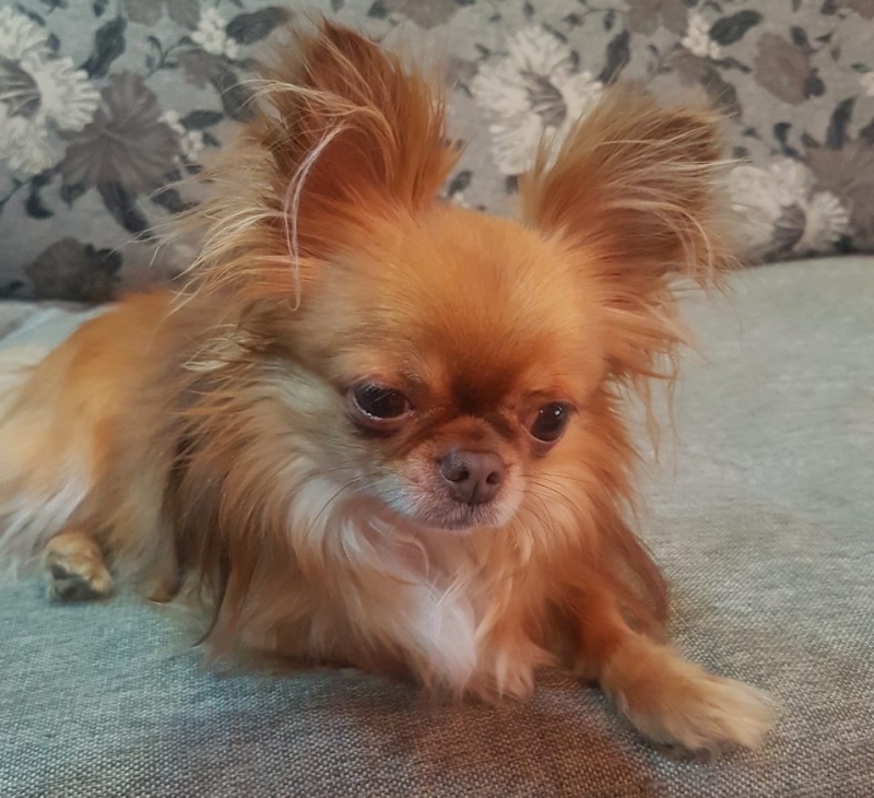 Врачани се обръщат към съгражданите си със зов за помощ