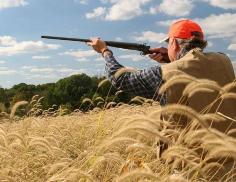 Забранява се лова на дивеч в деня на избори 27
