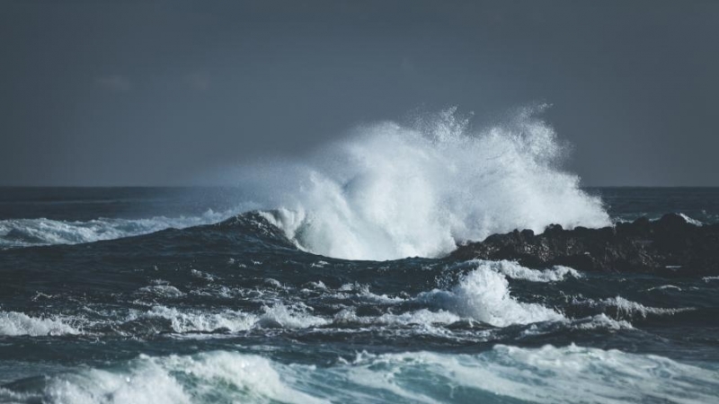 Температурата на световните океани през 2019 г. е била най-високата,