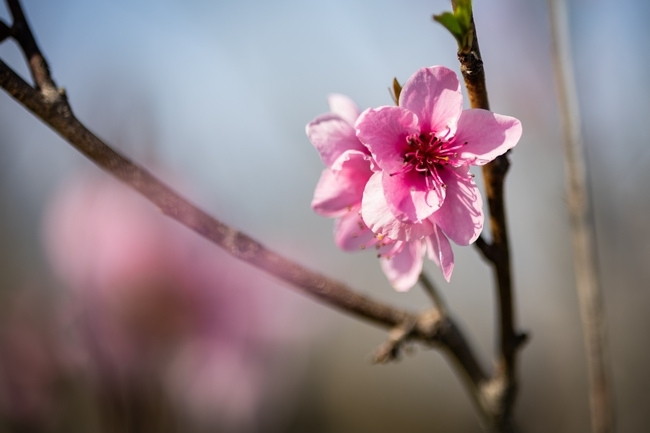 Днес ще бъде предимно слънчево Следобед ще се развива купеста