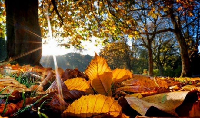 През нощта ще бъде предимно ясно Вятърът временно ще се