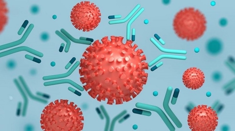 Антителата срещу коронавирусна инфекция се запазват най-малко девет месеца след