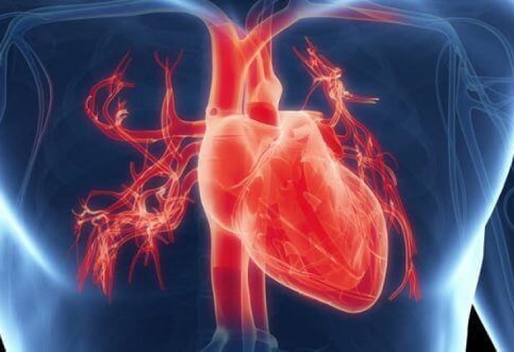 Според Центровете за контрол и превенция на заболяванията около 610