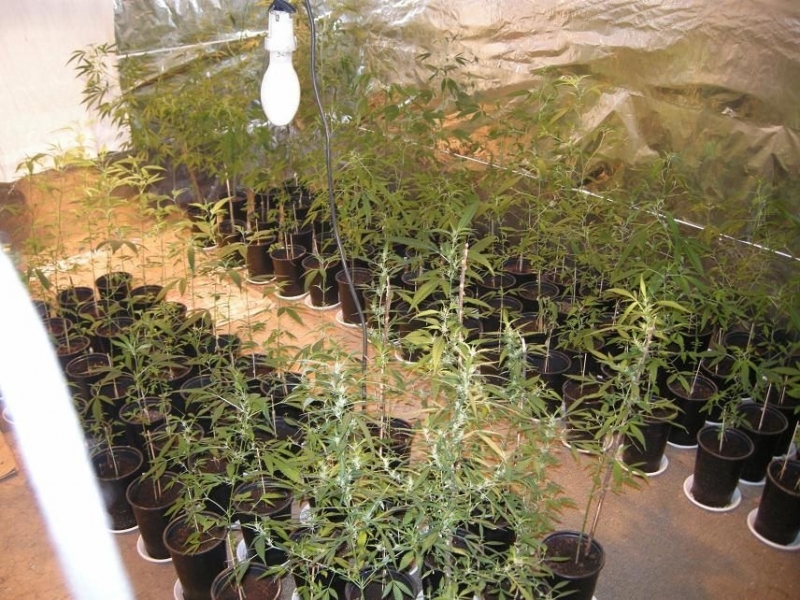 По споразумение сключено между Районна прокуратура Козлодуй и защитата