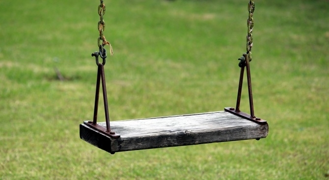 Тази сутрин от община Видин предприеха последваща обработка срещу бълхи