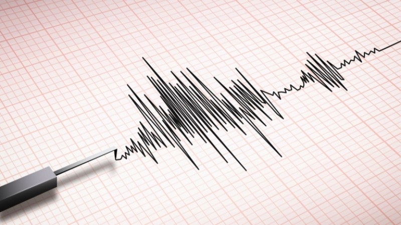Земетресение е регистрирано край Благоевград.
То е било с магнитуд 2
