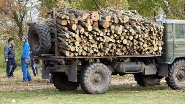 Хванаха младеж с крадени дърва във Врачанско съобщиха от полицията Вчера