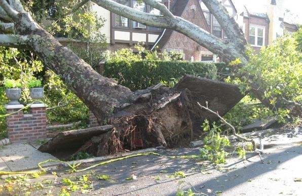 Тежък уикенд са имали огнеборците във Видинско заради щетите от