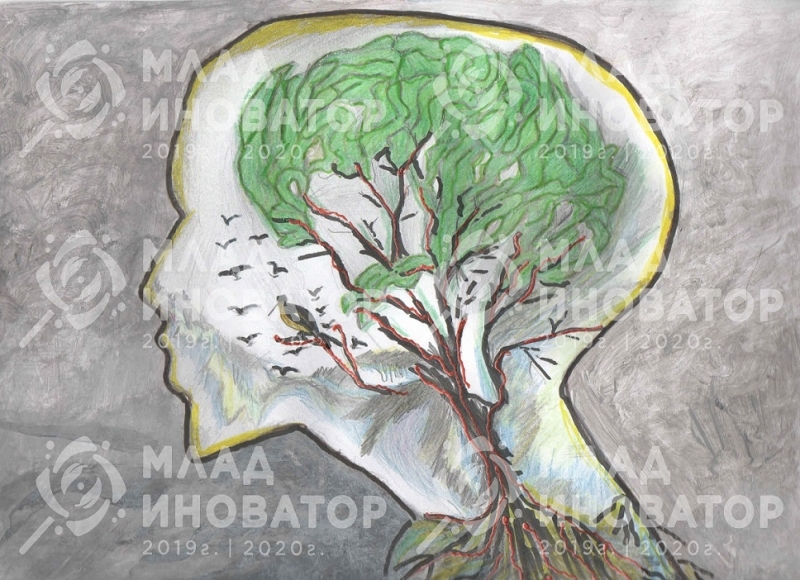 Ученици от Враца са на финала в ученическия конкурс за зелени иновативни идеи „Млад иноватор“