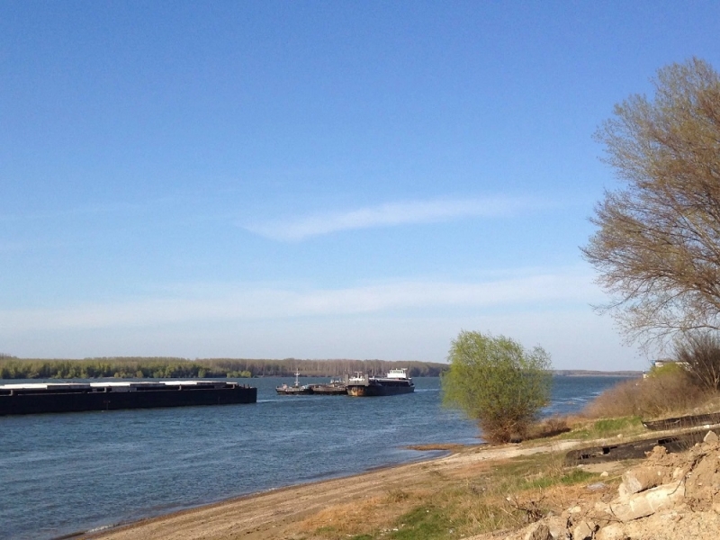 Ниско за сезона е нивото на Дунав при Лом през