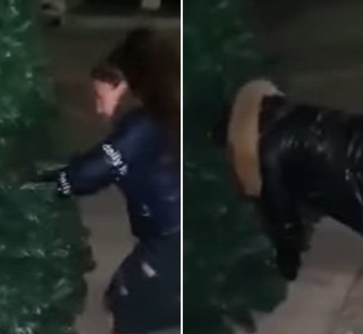 Moмичета са се изгаврили с коледната украса в Роман и