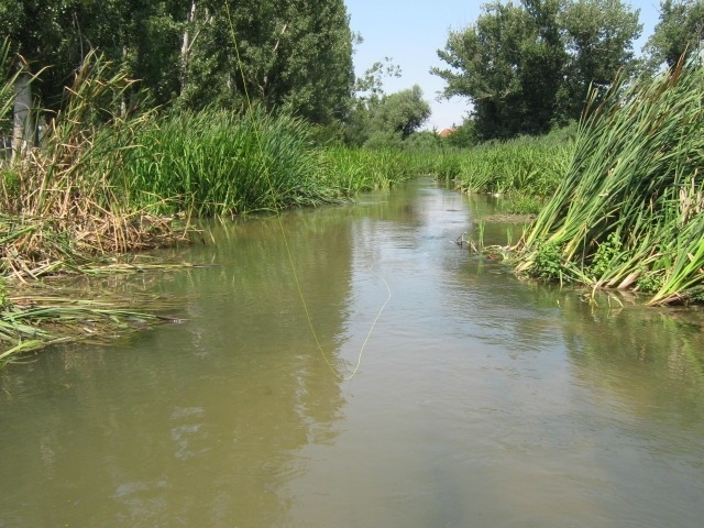 Екоинспекцията в Монтана провери сигнал за оцветяване в зелено на