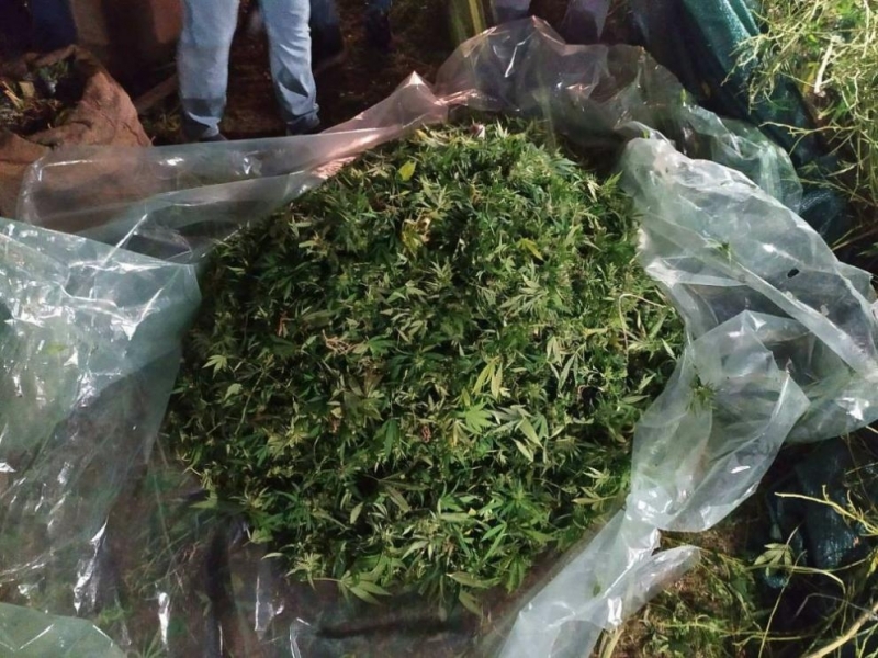 Районна прокуратура Петрич е предала на съд мъж по обвинение за