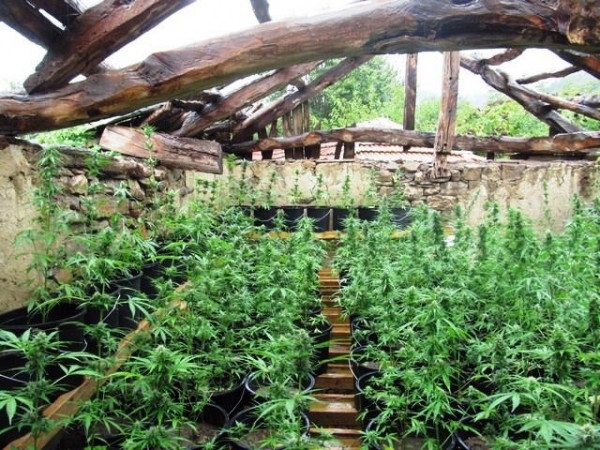 При спецоперация на полицията в Бяла Слатина във врачанско село