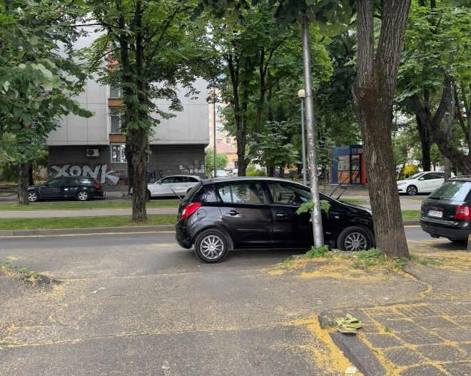 Новият шампион по неграмотно паркиране: Шофьор затапи излаз на улица във Враца /снимки/