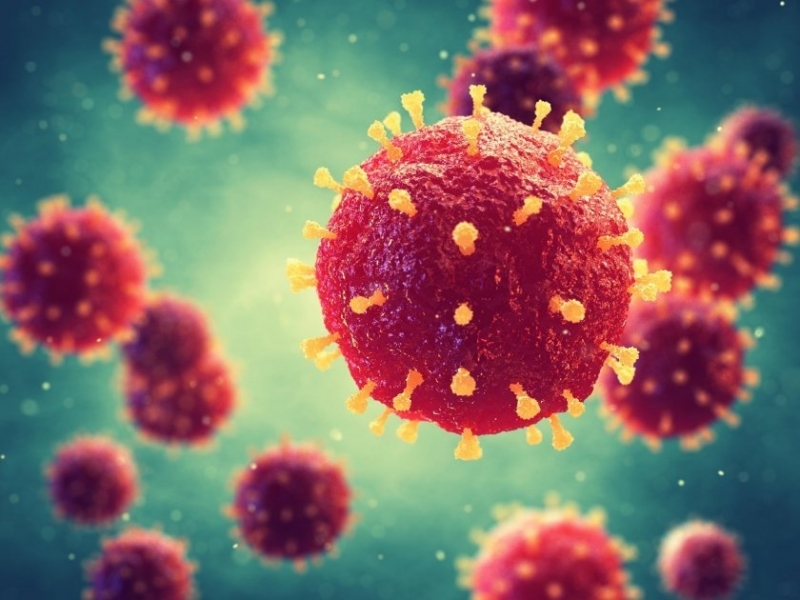 1 729 са новодиагностицираните с коронавирусна инфекция лица през изминалите