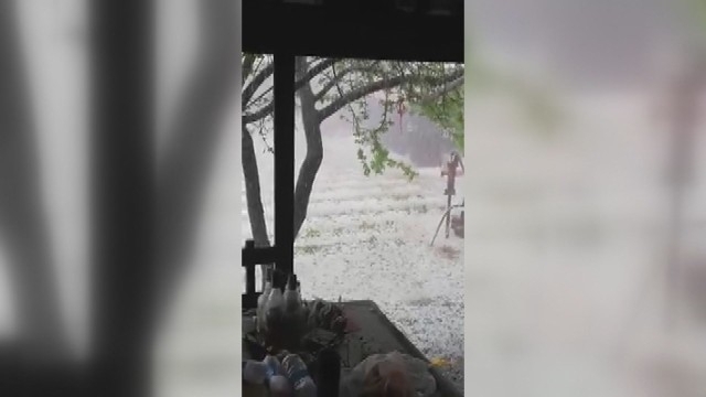 Унищожителна градушка в празничния 6 май съсипа реколтата в Плевенско