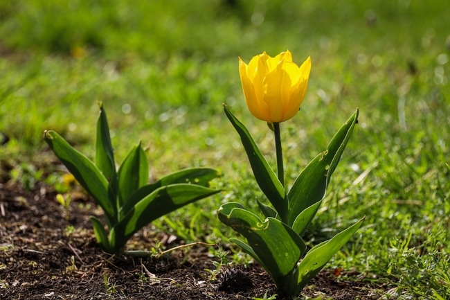 Днес облачността ще е разкъсана преди обяд в източната половина