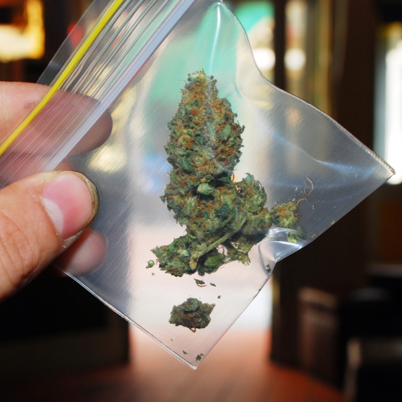 Полцията е хванала тийнейджър с трева в Бяла Слатина съобщиха