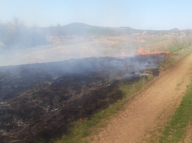Голям пожар има край врачанското село Големо Бабино научи агенция