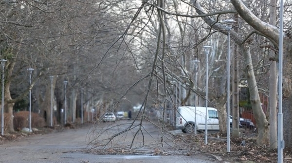 Вятър със скорост над 72 км ч заличи и последните следи