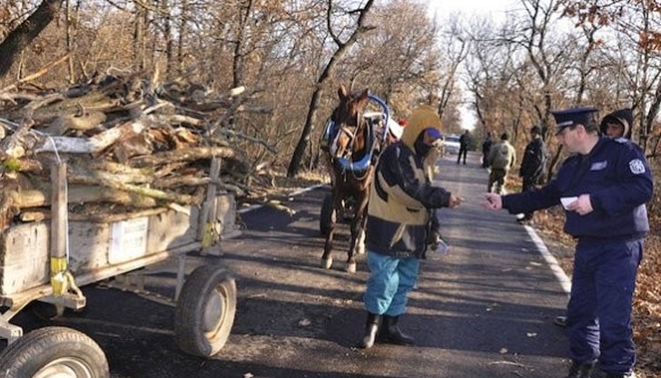 Полицията е хванала бракониери на дърва за огрев в Лом