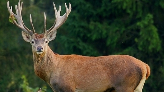 Вчера около 17 10 часа от полицията са установили че в