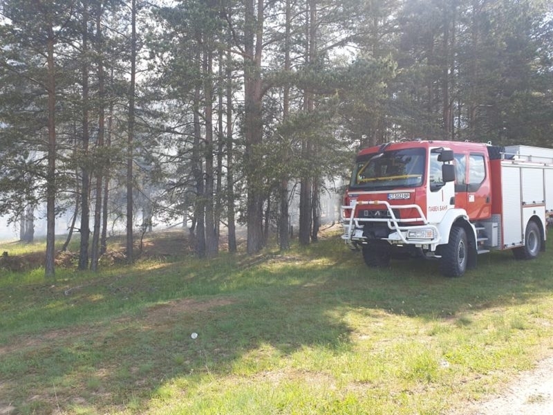 При пожар край село Драганица в община Вършец вчера са