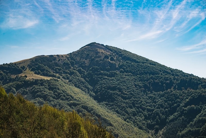 В рамките на Проект Организиране и провеждане на информационна кампания