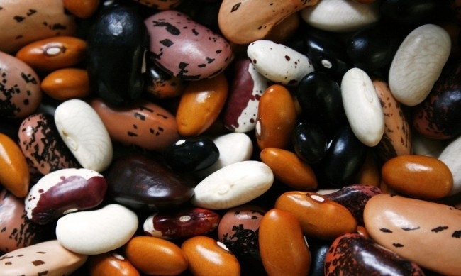 Обикновен български боб и то не от най скъпите сортове по