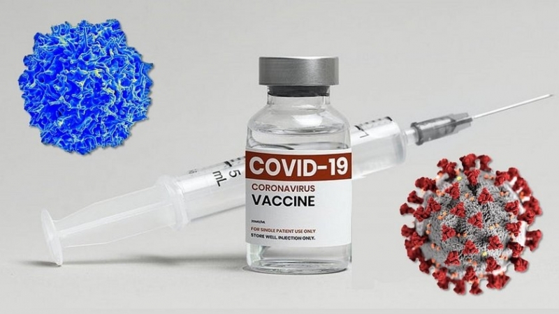 Ваксините срещу коронавирус са спасили 20 милиона живота през 2021г.