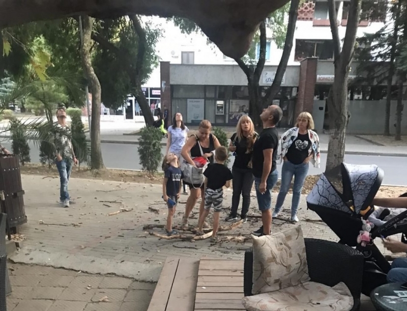 Неприятен инцидент е станал днес в центъра на Козлодуй научи