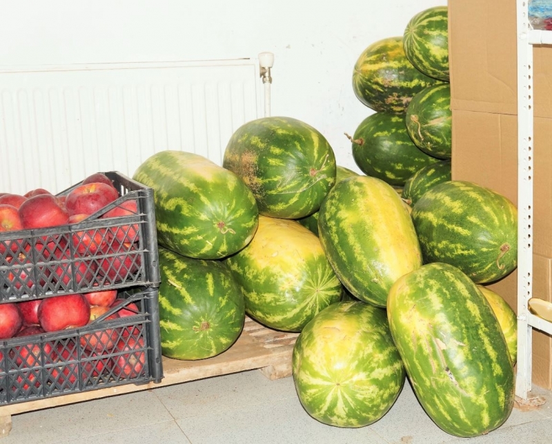 „Българска хранителна банка“ подпомогна с хранителни продукти близо 2 ...