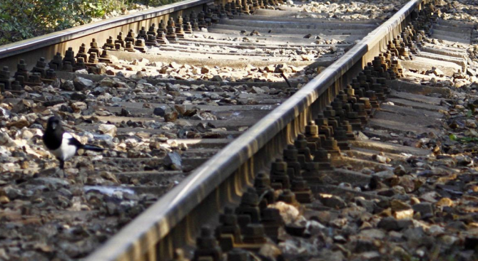 Малко след 8 часа вчера сутринта в дежурната част на