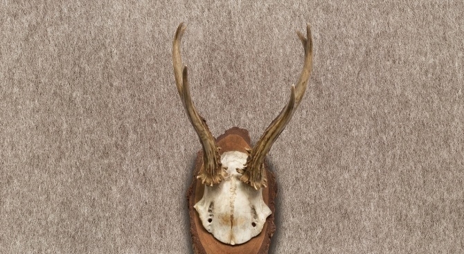 Тридесет трофея са намерени при съвместна акция на полицията и