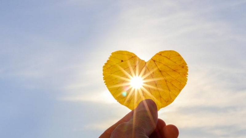 В понеделник времето ще бъде предимно слънчево след обяд ще