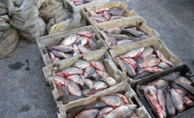 Масови проверки на Агенцията за безопасност на храните преди Никулден