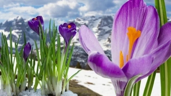 През нощта ще бъде предимно ясно и почти тихо Утрото