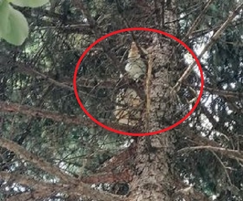 Врачани отново доказаха че доброто съществува Местни жители са видели