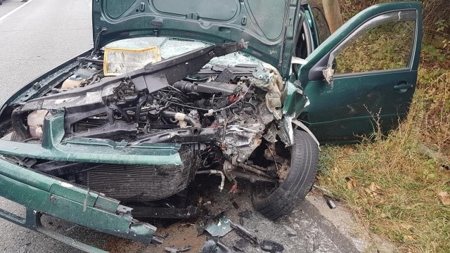 От началото на 2019 г до 15 11 2019 г в област